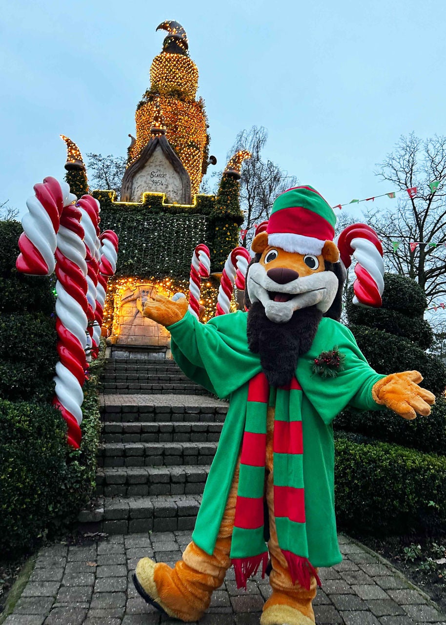 Koning Leeuw voor zuurstokken en voor het verlichte bloemenkasteel tijdens Kerst.