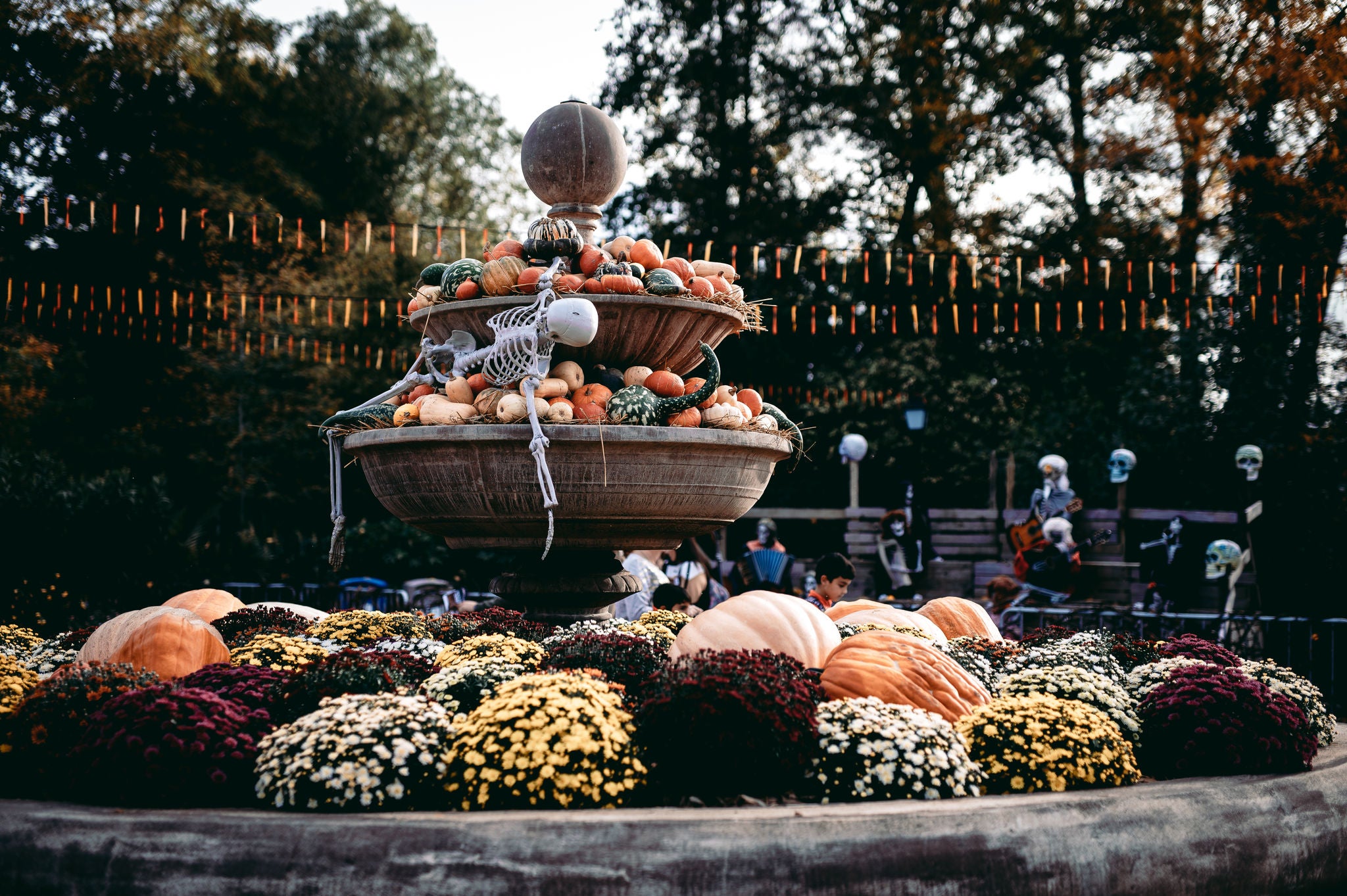 Chrisanten in de fontein als Halloween decoratie.