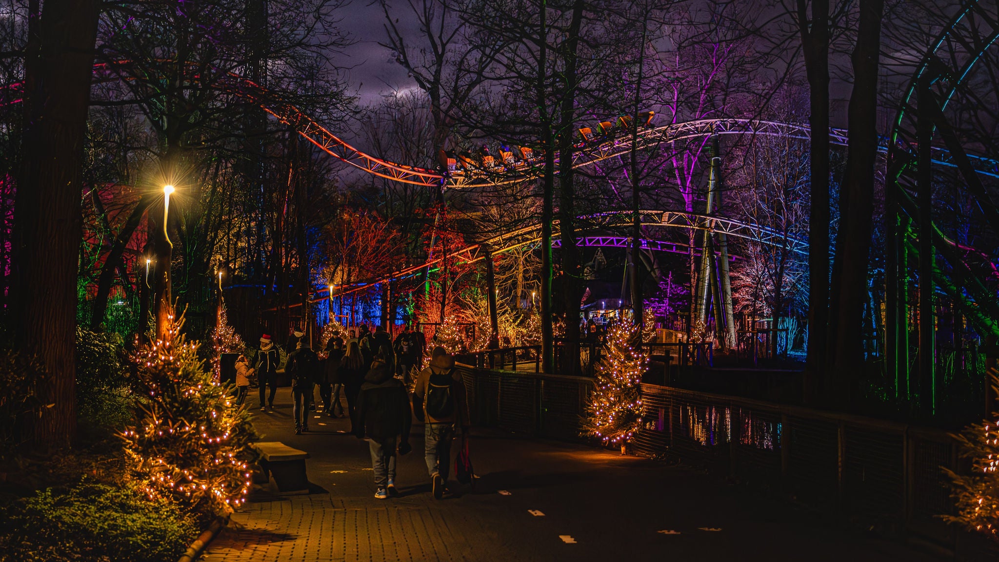 Gele Wakala trein rijdt tijdens de nacht over een wandelpad vol kerstbomen als kerstdecoratie.